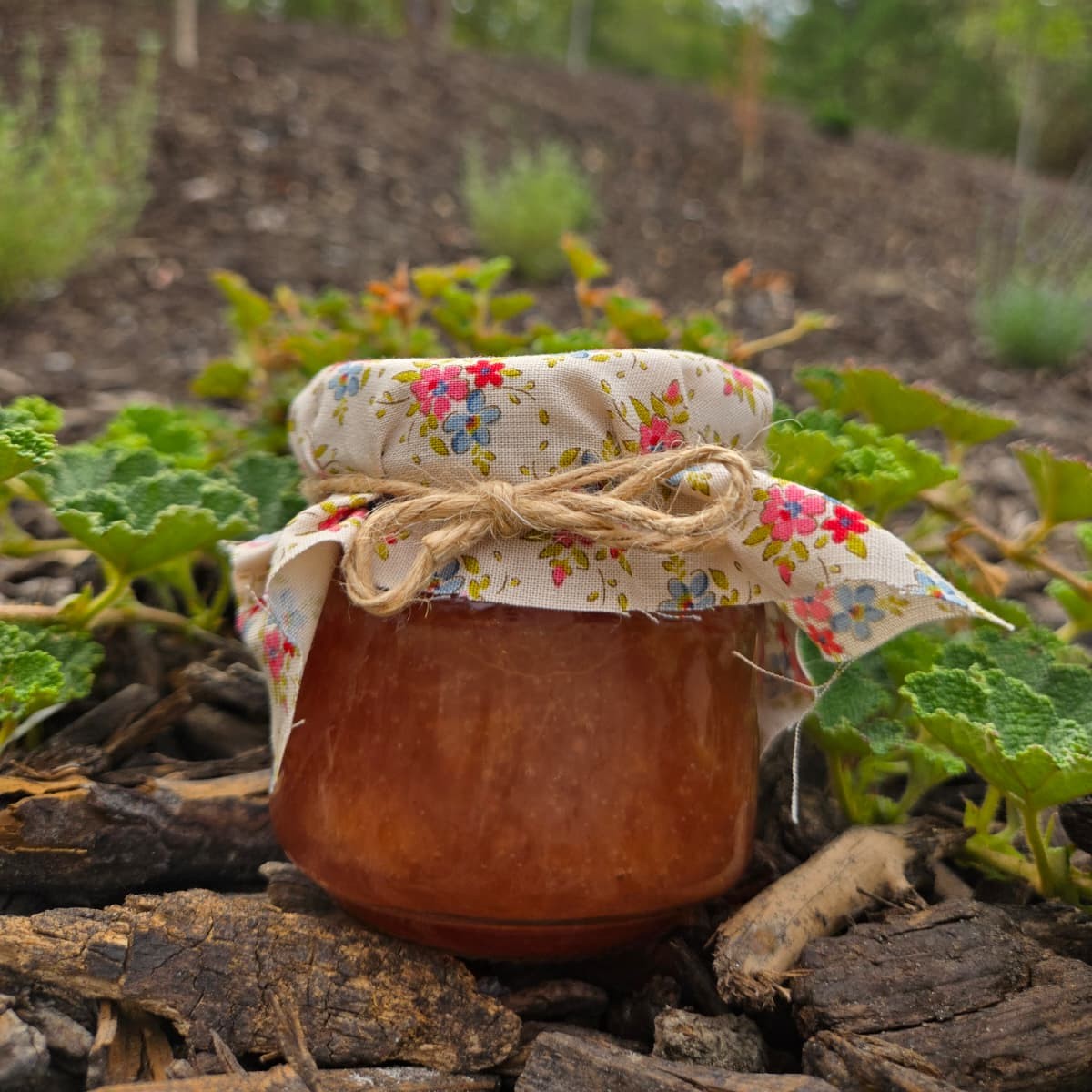 Nectarine Jam